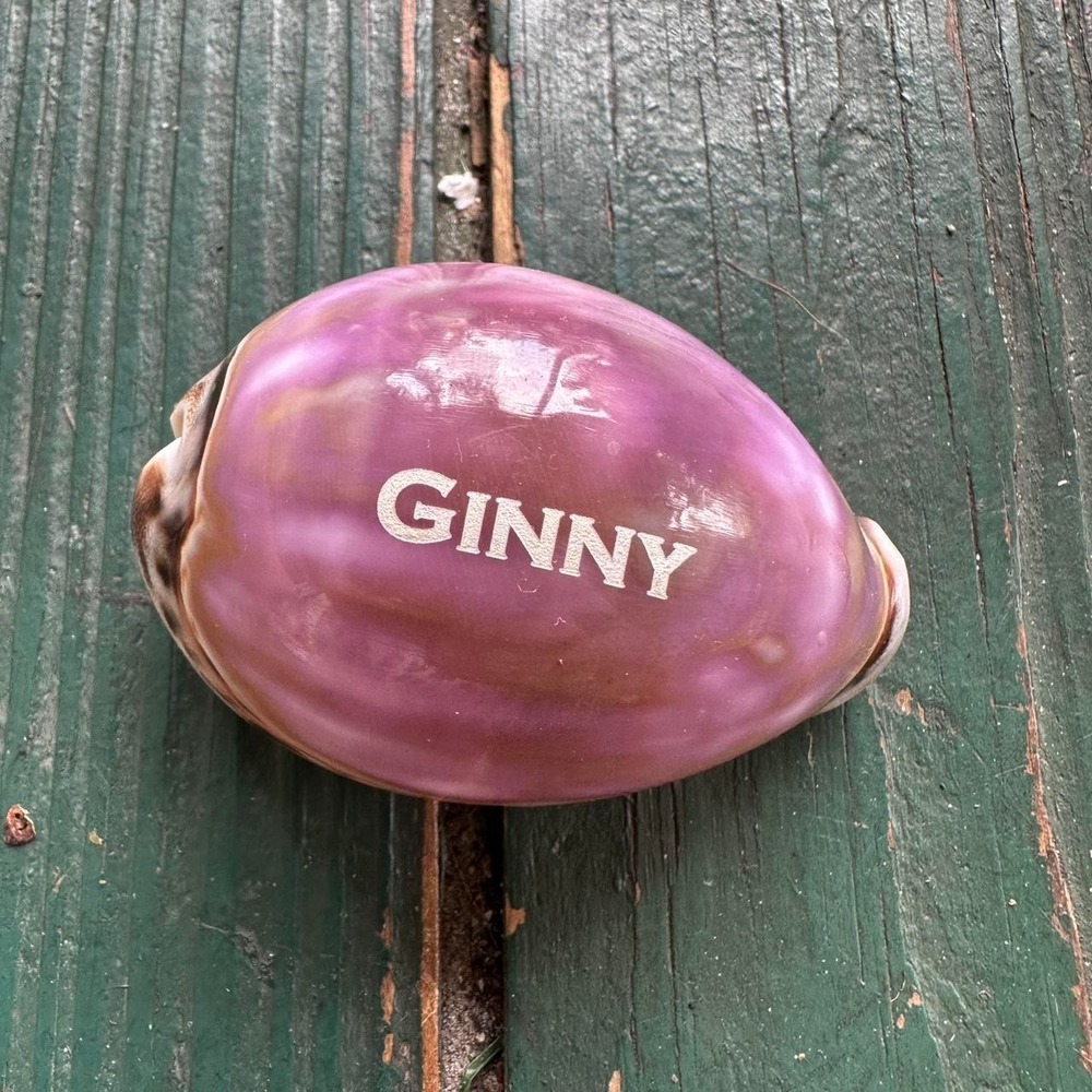 "Ginny" Pink cowrie shell with white accents